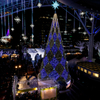 博多のクリスマス４
