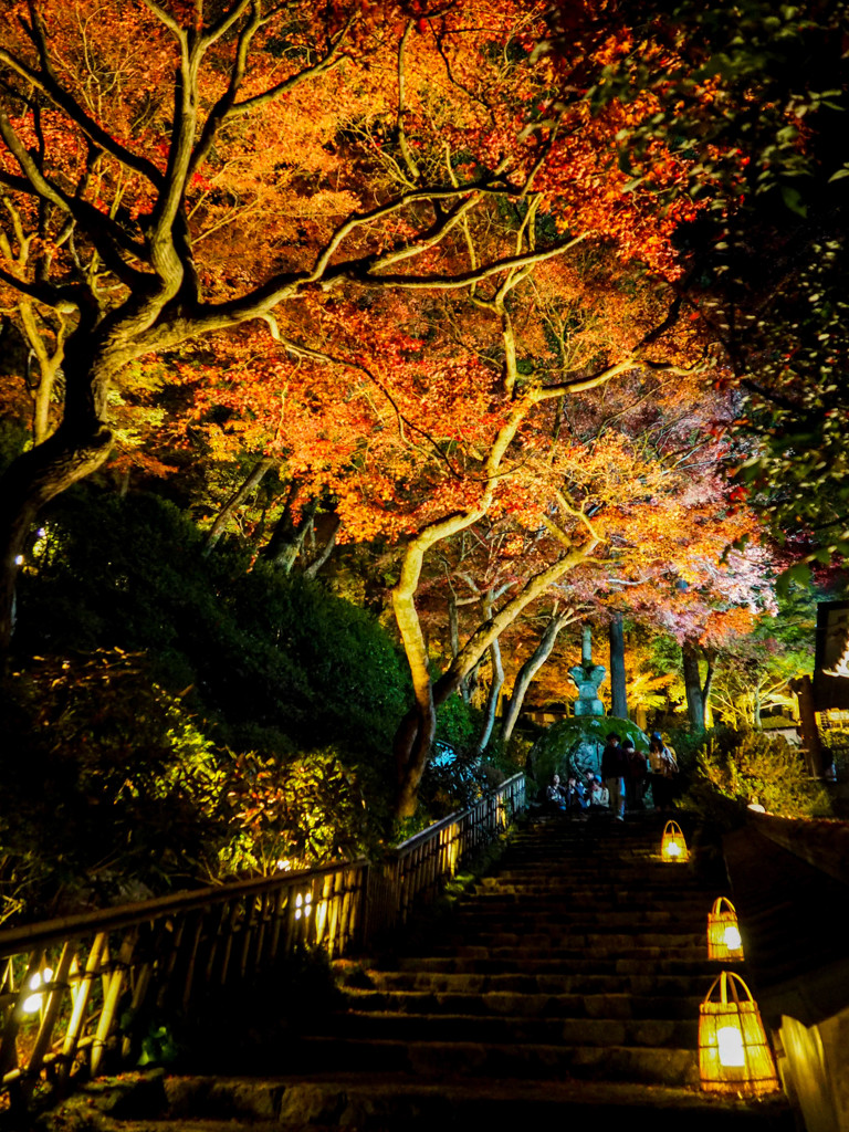 大興善寺は夜も綺麗だった