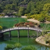 栗林公園 ６