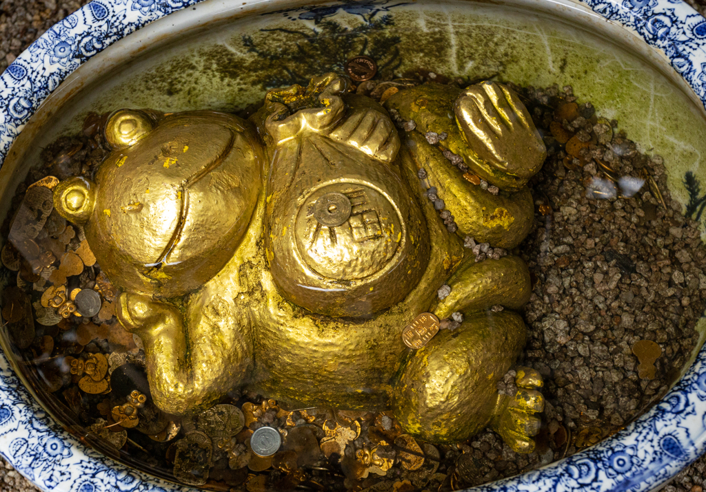 カエル寺　その１１