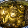 カエル寺　その１１