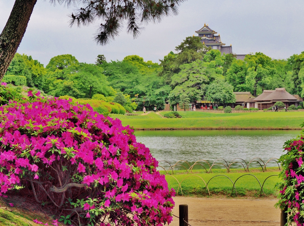 後楽園と岡山城