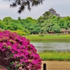 後楽園と岡山城