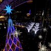 博多のクリスマス８