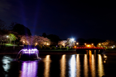 甘木公園の桜と噴水と夜景