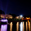 甘木公園の桜と噴水と夜景