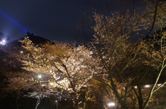 清水寺のライトアップ