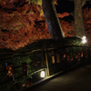 大興善寺の紅葉２０１９　その７