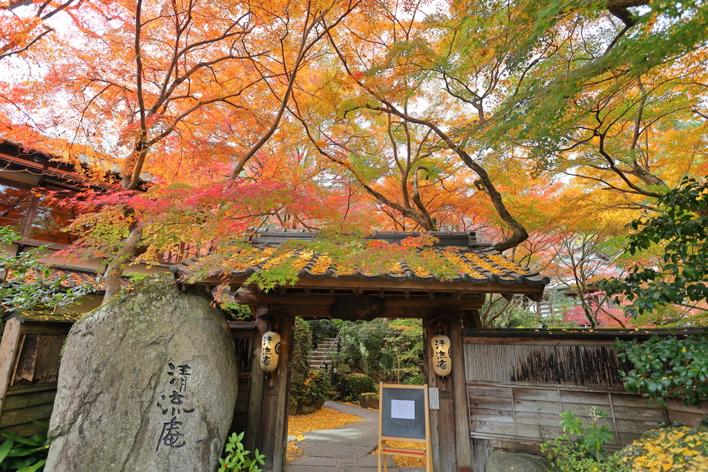 秋月の紅葉２０２１　その１