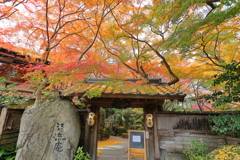 秋月の紅葉２０２１　その１