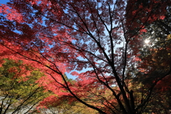 呑山観音寺　その４