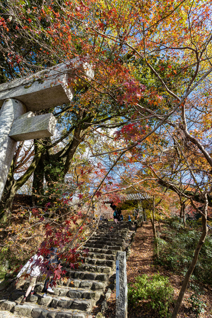 福岡秋月の紅葉２０２０　その９