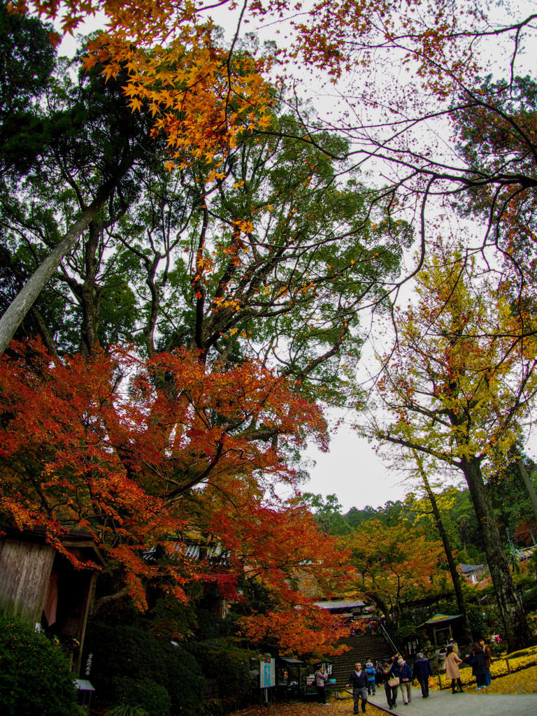大興善寺境内は紅葉終盤