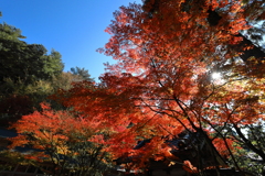 呑山観音寺　その１