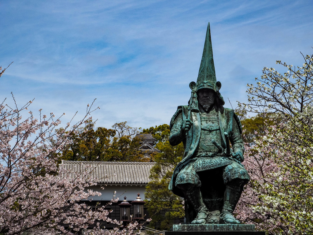 熊本城の桜１