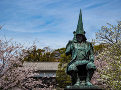 熊本城の桜１