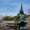 熊本城の桜１