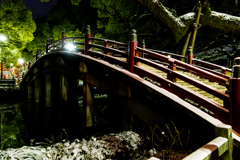 雪の太鼓橋