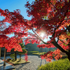 多久聖廟の紅葉５