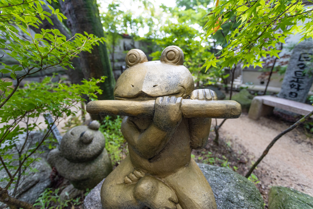 カエル寺　その７
