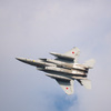 頑張って飛んでます