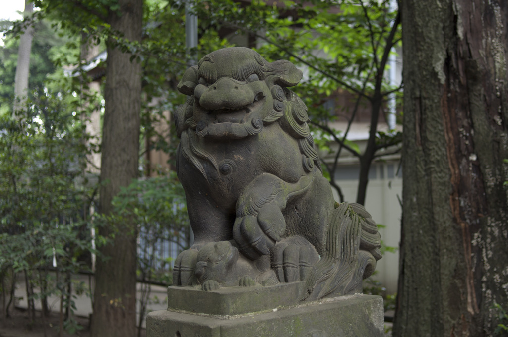 気品のある狛犬　阿