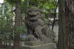 気品のある狛犬　阿