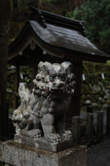 気品と凄みのある狛犬　吽