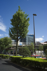 タクシーのりば