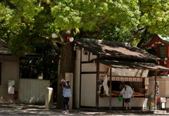 富岡八幡宮にて