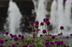 花と噴水
