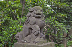 気品のある狛犬　吽