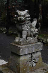 気品と凄みのある狛犬　阿