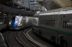 JR EAST E7(Tokyo station)