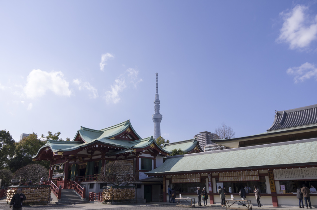 2016.03.21　亀戸天神