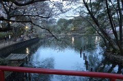 IMG_0276 (1920x1280)