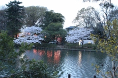 IMG_0284 (1920x1280)