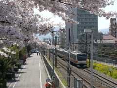 春の線路沿い