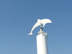 空を泳ぐイルカ