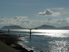 輝く海