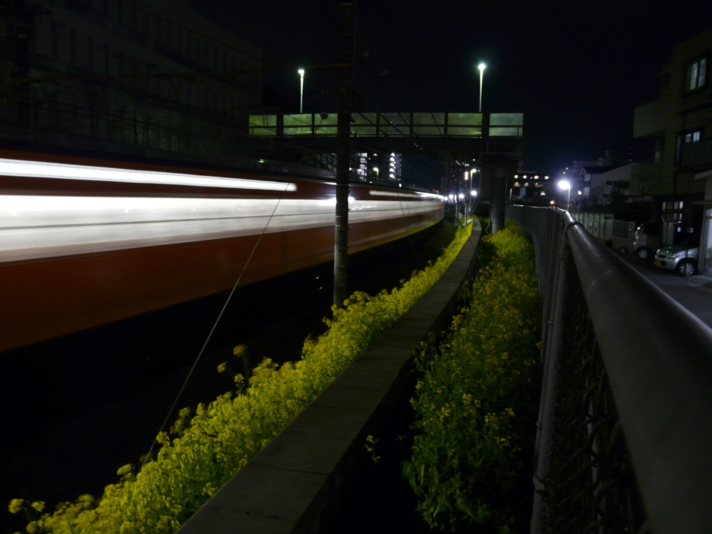 Spring Night