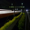 Spring Night