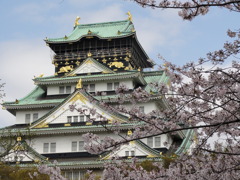 大阪城　桜