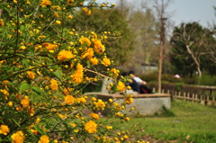 DSC_0744