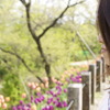 横顔