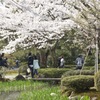 金沢兼六園