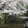 金沢兼六園