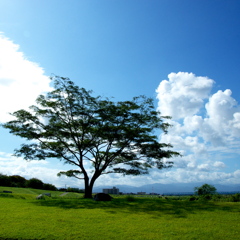 初秋の空