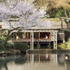 金沢兼六園