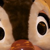 DALE